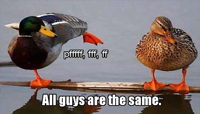 Girls and Diverses 49 adult photos