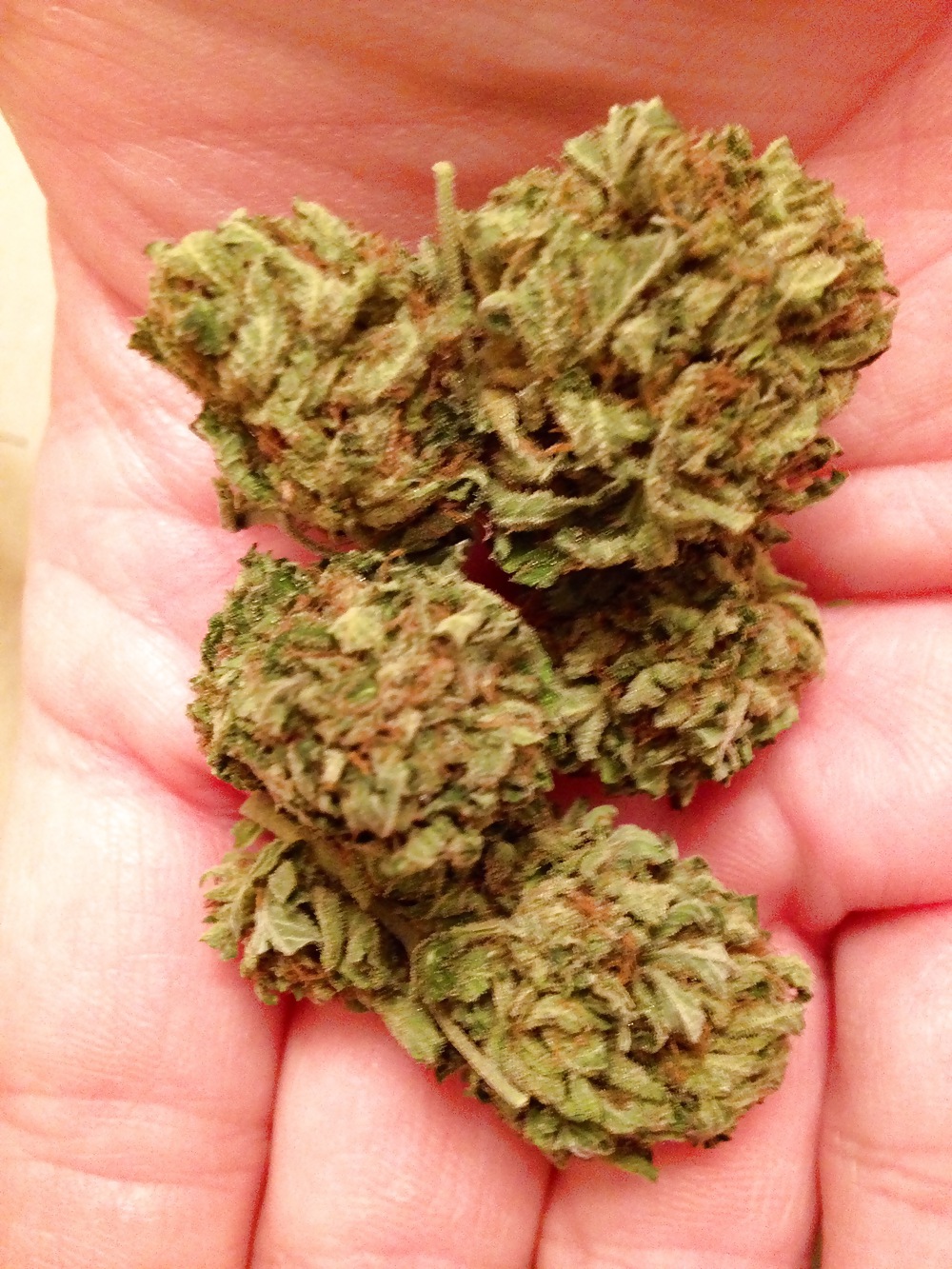 Pics Of What I Smoke On Daily - 420, The Kind, Nug adult photos