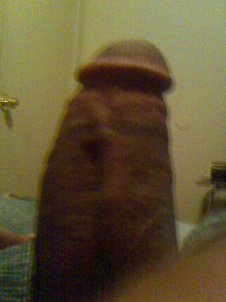 my dick adult photos