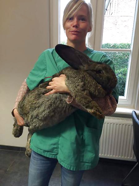 Girls and Diverses 87 adult photos