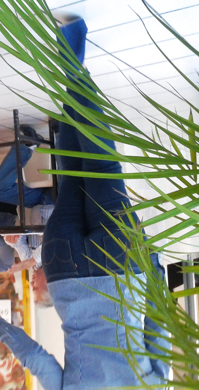 camel toe big ass and mor adult photos