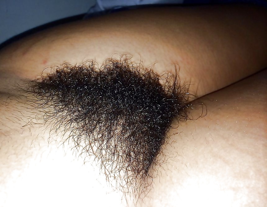 Hairy pussy amateurs adult photos