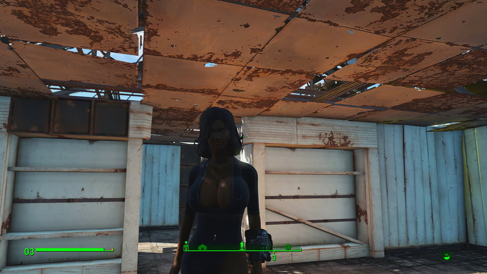 Erotic Posters (Fallout 4)