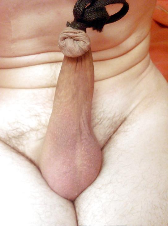 mon zizi attachee adult photos