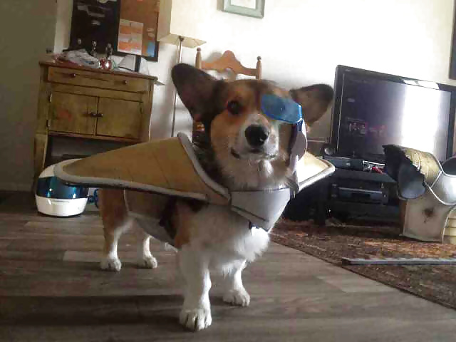 Girls and Diverses 21 adult photos