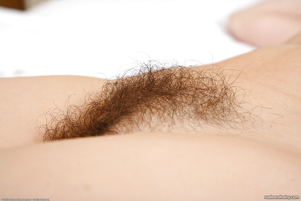 ���� �������� ������ ����� - 3