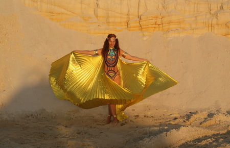 with golden wings on setting sun         