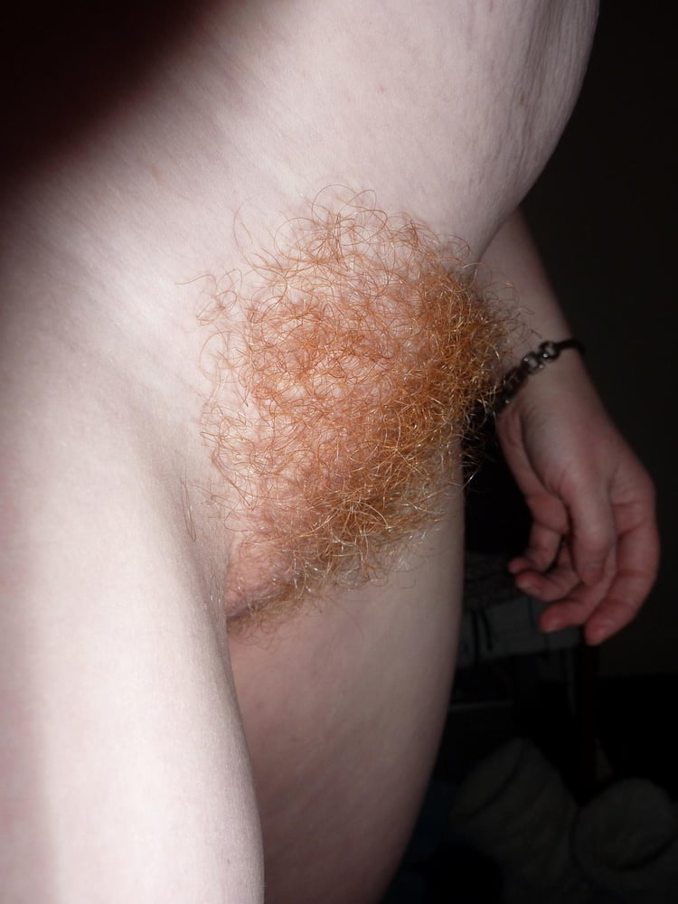 Best Of Orange Red Brown Ginger And Blonde Pubic Hair 4 282 Pics 