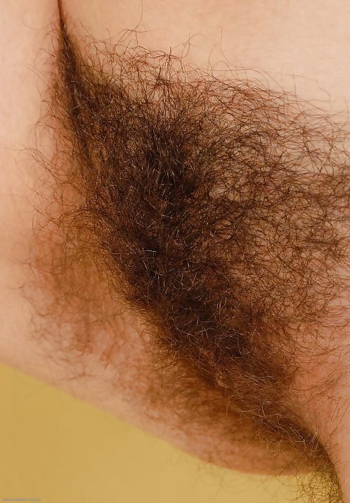 Hairy pussy amateurs adult photos