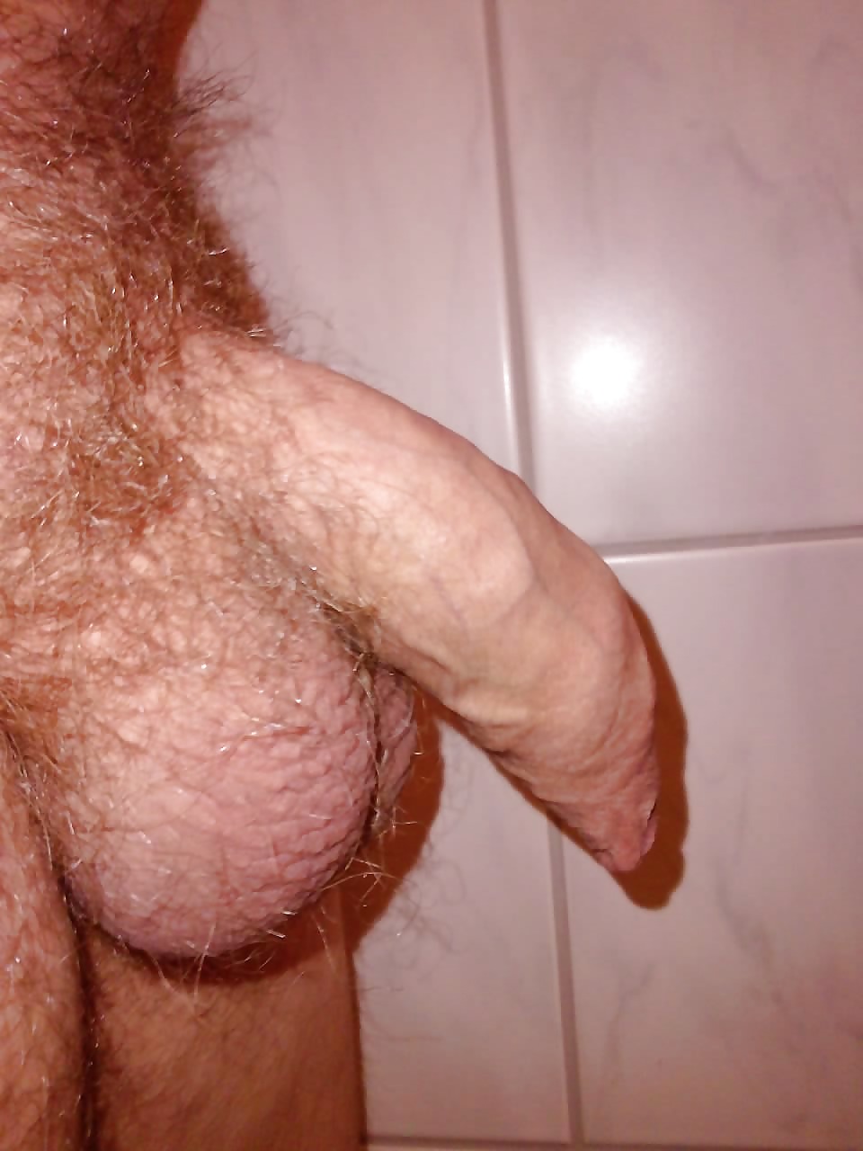 My Cock adult photos