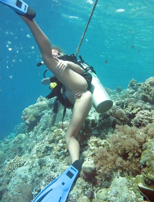 Diving pics adult photos