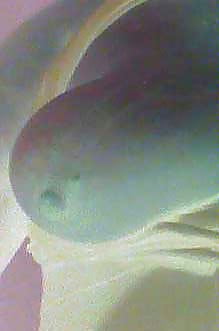 the wife selfy adult photos