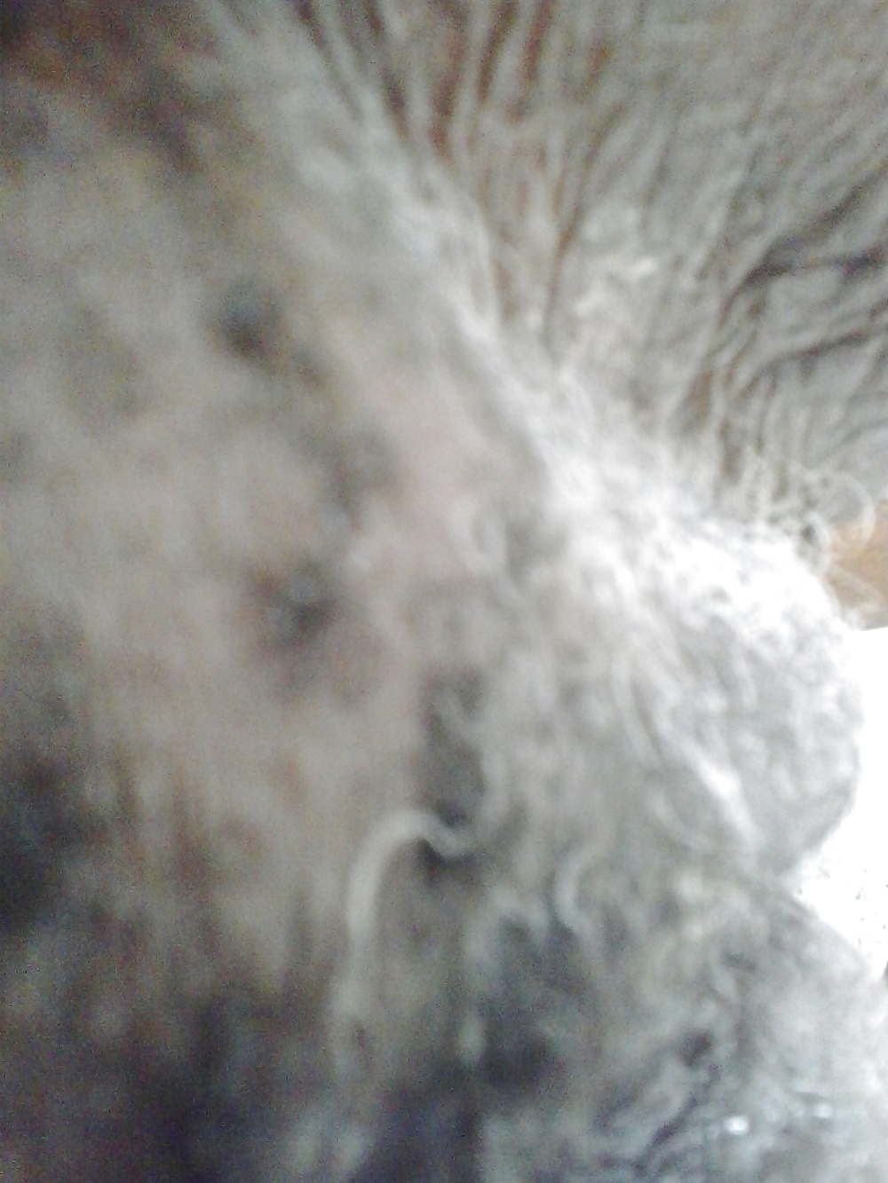 Brazilian granny 035 adult photos