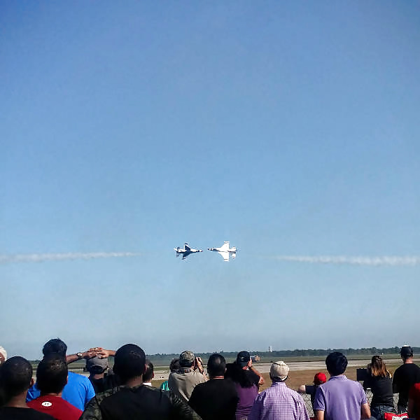 Girls and Diverses 49 adult photos