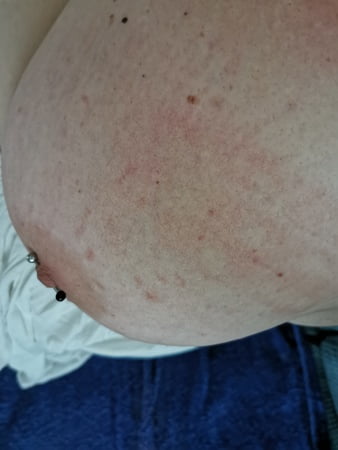 praesentieren benutzt         