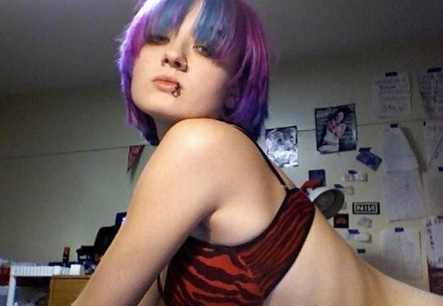 Purple ringnose adult photos