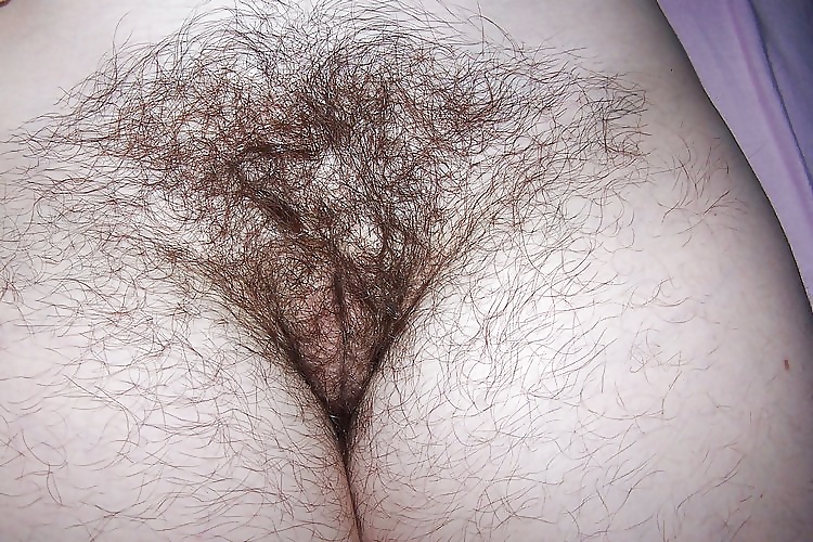 Mature hairy wife adult photos
