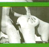 KEY - Late 50ies Scandinavian Flyer adult photos