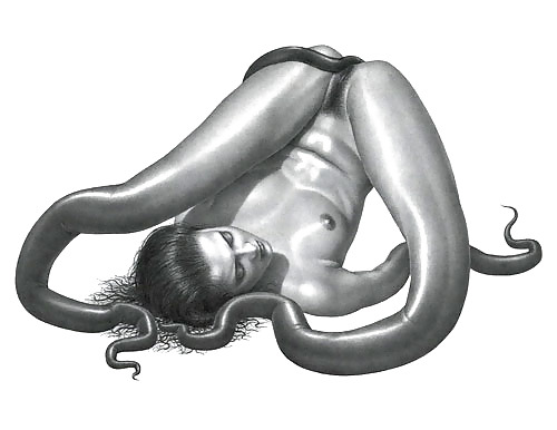 Some unusual stuff adult photos