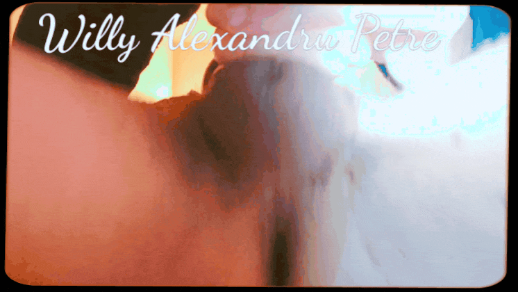 💥ウィリー・アレクサンドル・ペトレ - ディック・ムーブメント