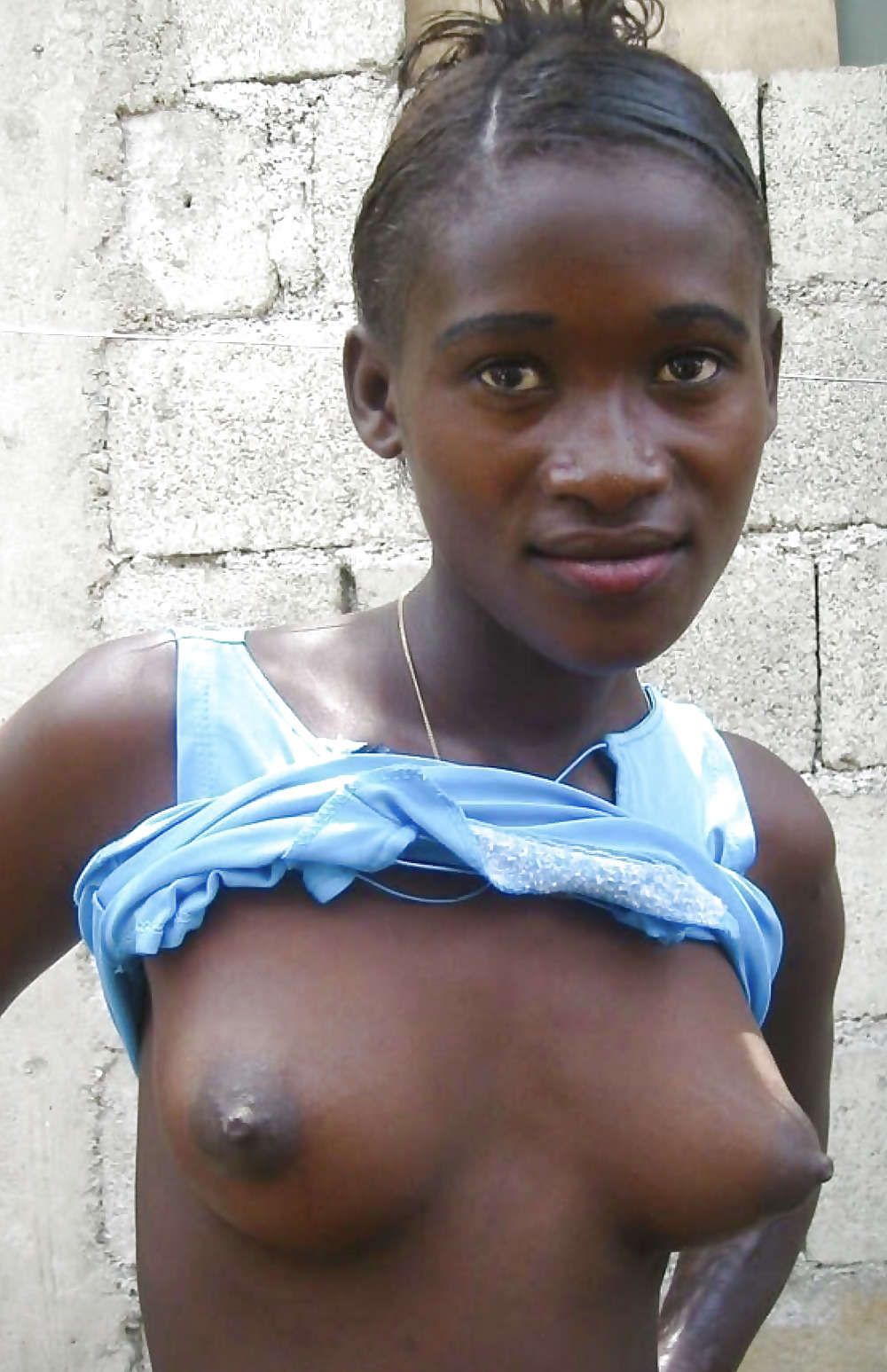 Haitian tits