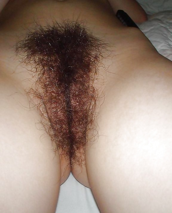 Hairy Pussy Mix 13 adult photos