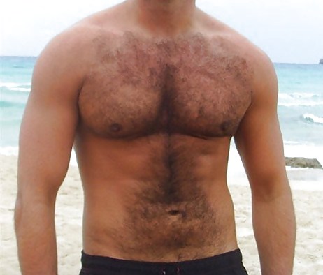 sexy hairy chest adult photos