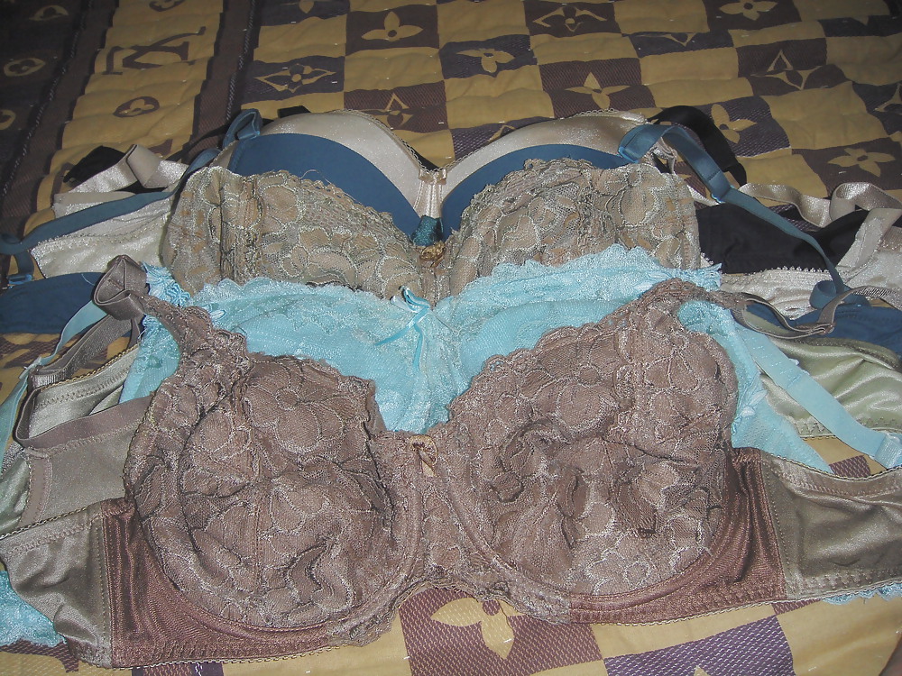 My Personal Bra Collection adult photos