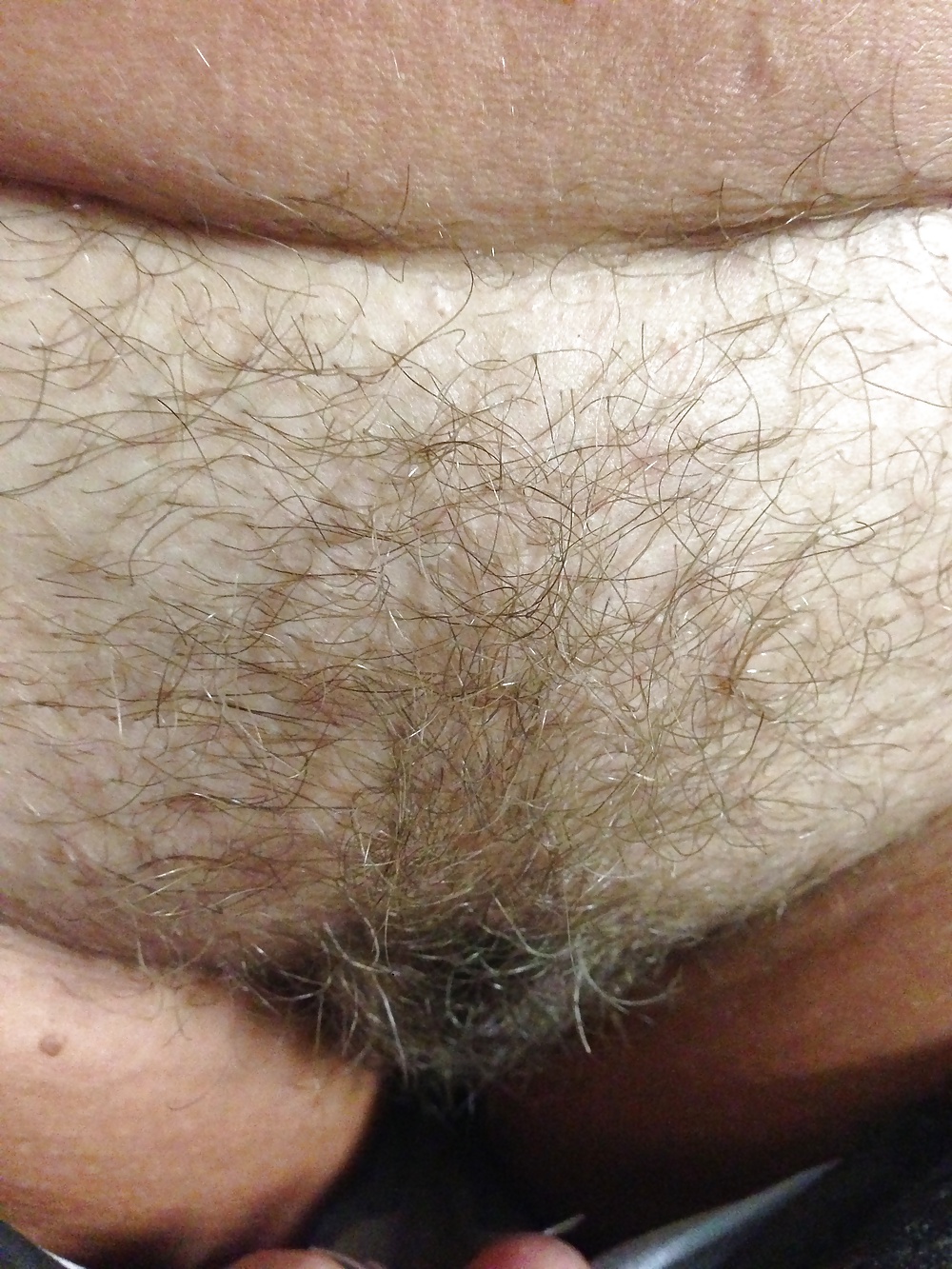 Teen Hairy Panties adult photos