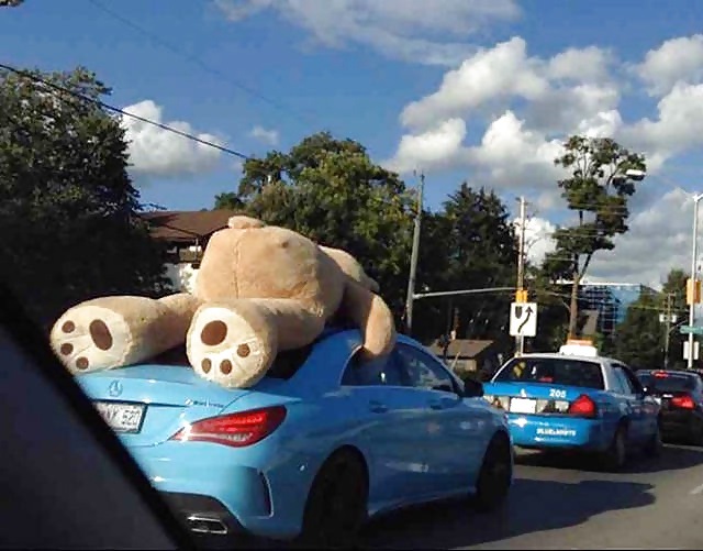 Girls and Diverses 52 adult photos