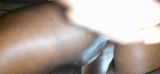 amateur ebony milf fucking         